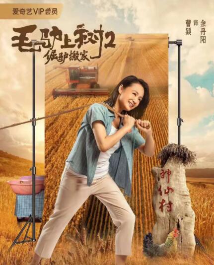 因瓦塞雷布杜马