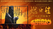 欧洲一级黄