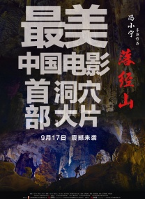 99视频九九精品视频在线观看