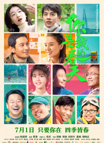 识别链接