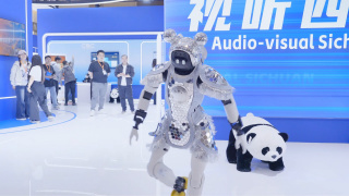高清无转码区2021免费